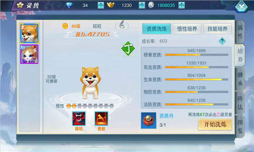 龙武九游版图3
