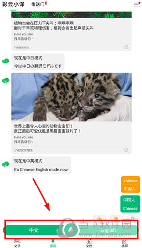彩云小译破解版图1