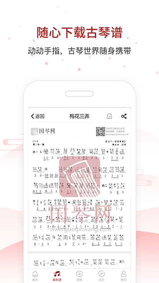 国琴网手机版图2