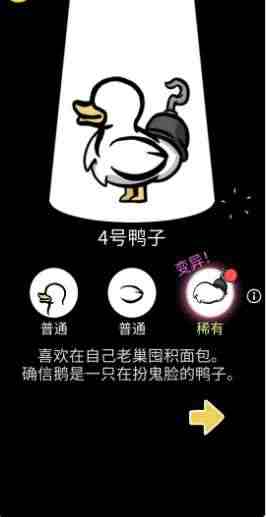 奇怪的鸭子无广告免实名认证版图3