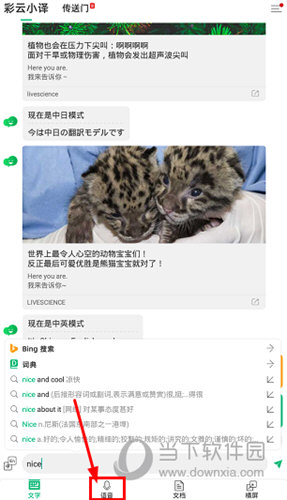 彩云小译破解版图3