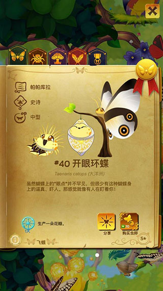 彩翼蝴蝶保护区图1