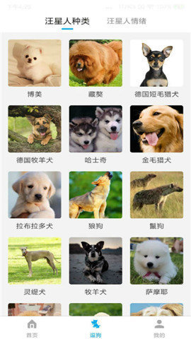 动物翻译器全部动物