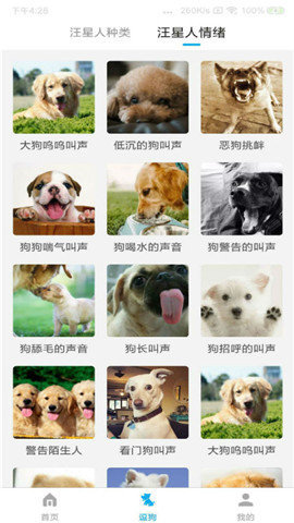 动物翻译器全部动物
