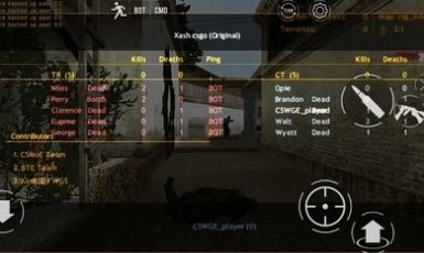 csgo躲猫猫模式游戏1.30安卓版图2