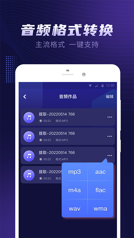 视频音乐提取图6