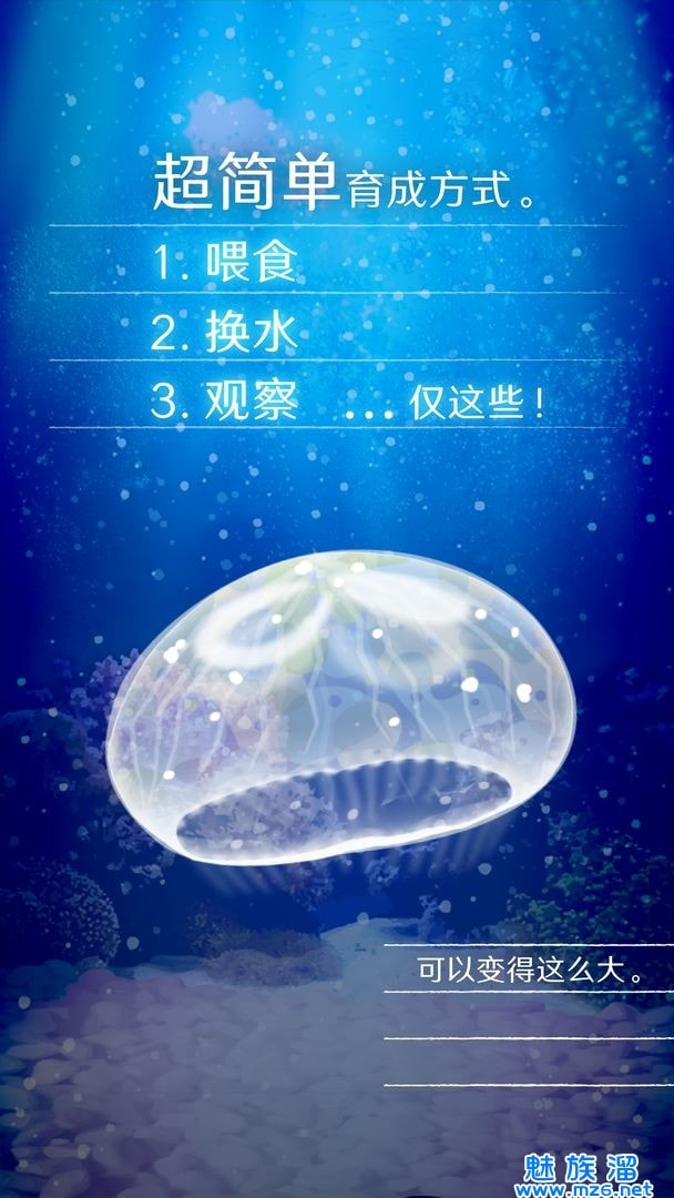 养育水母的治愈游戏(Jellyfish)