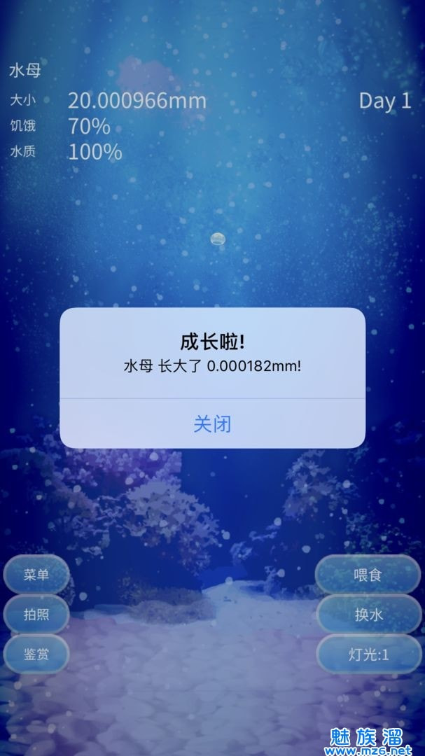 养育水母的治愈游戏(Jellyfish)图3