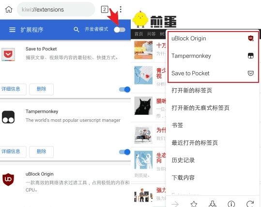 Kiwi浏览器APP