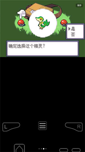 口袋妖怪漆黑的魅影50exbw