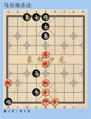 天天象棋ios版图1