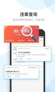手机违章图2