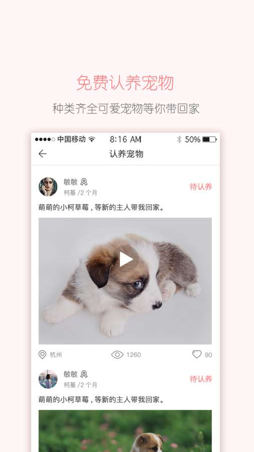 云宠咖图2