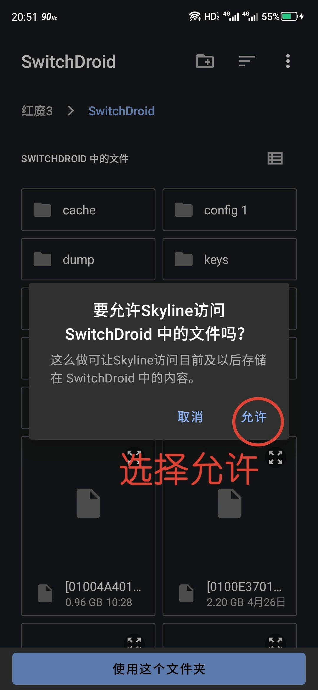 skyline模拟器官方版