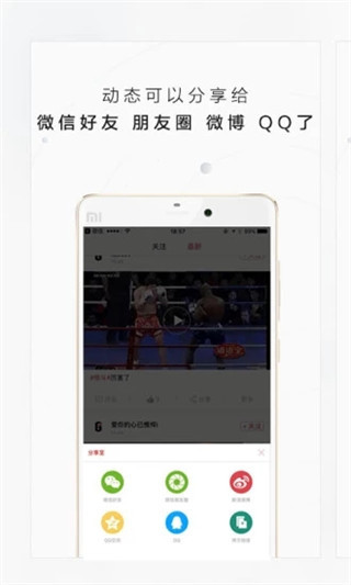 极斗图1