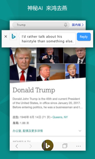 微软bing国际版图2