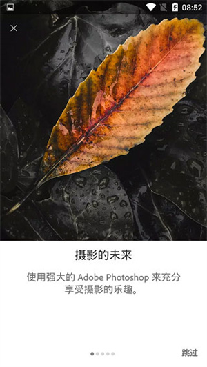 lightroom软件图4