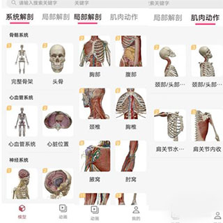 3dbody解剖app最新版
