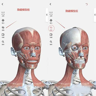 3dbody解剖app最新版