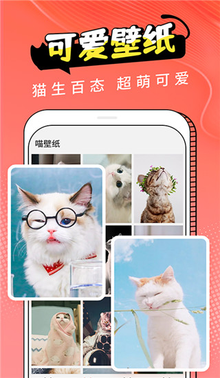 猫翻译app第4张截图