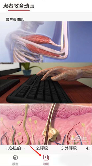 3dbody解剖app最新版