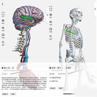 3dbody解剖app最新版