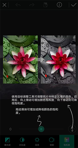 相片大师(PhotoDirector)