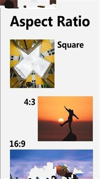 pzpic图1
