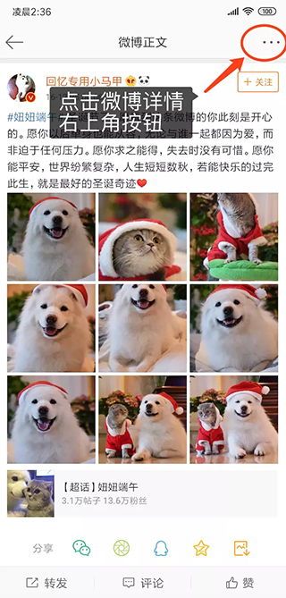 熊猫下载app