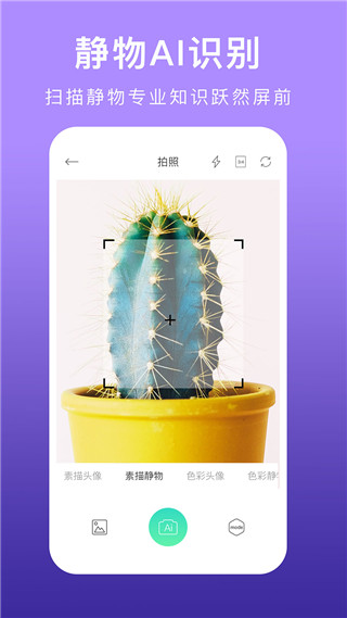 美术拍图3