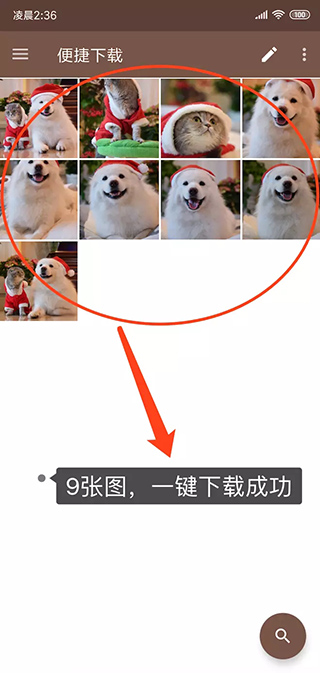 熊猫下载app