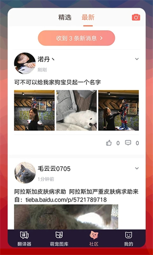 猫语翻译器免费版图2