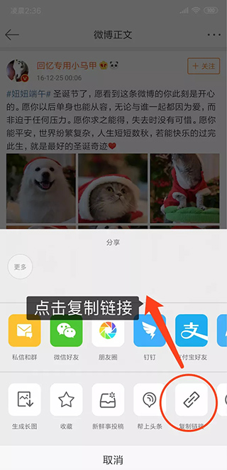 熊猫下载app