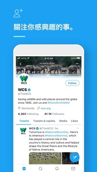 twitter最新版本截图1