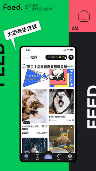 Feed图2