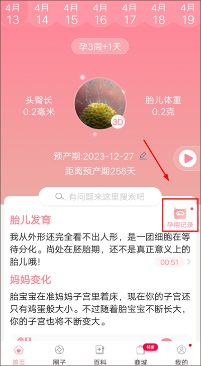 怀孕管家最新版图4