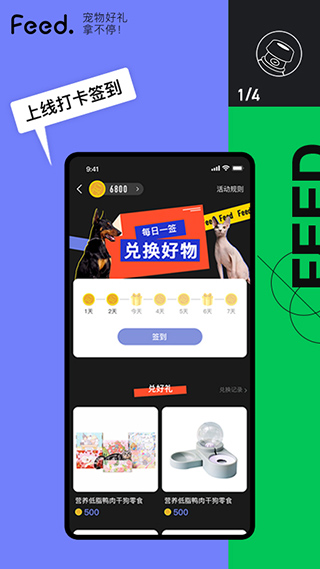 Feed图3