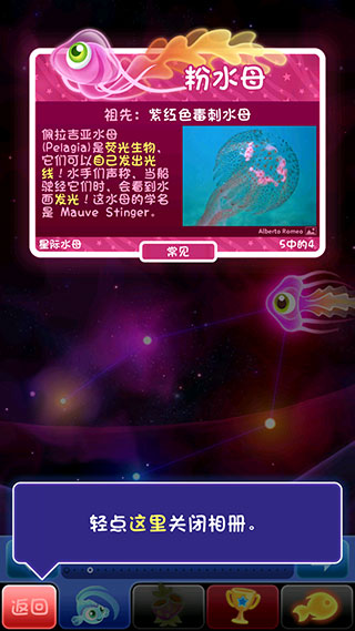 超级星鱼图2