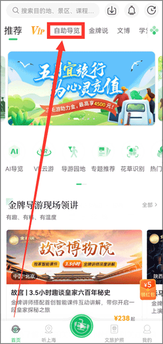 三毛游全球版