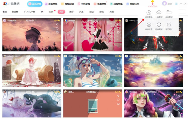 小鸟壁纸图2