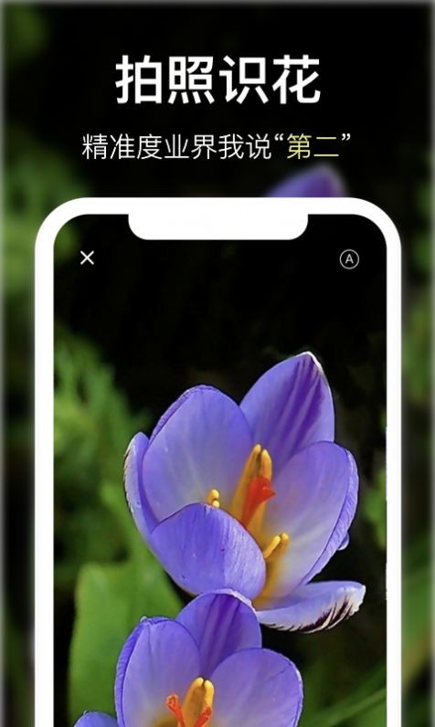 宜植惠图3
