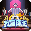 我是球王破解版