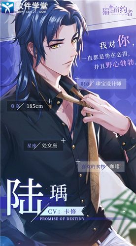 猫之宿约者手游官方版