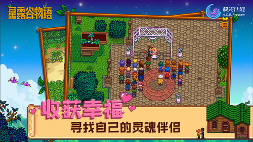 星露谷物语1.5汉化版图2