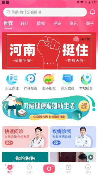 图1