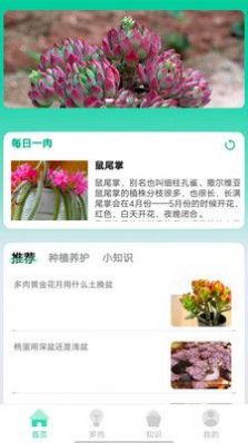 掌中百科app手机版下载截图3