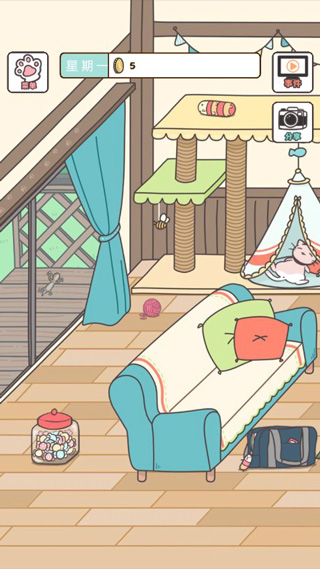 猫咪饲养日常中文版图3