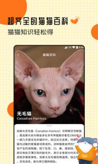 爱宠猫语翻译器app图1