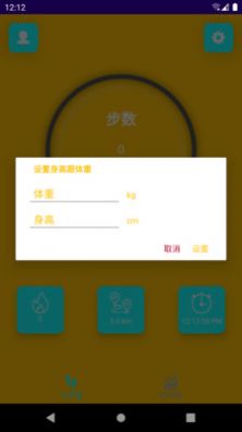 吉星计步图2