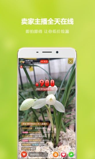 兰花交易网app图2